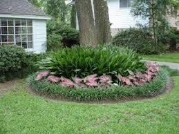 Caladium Cottage Why Caladium Cottage Landscaping Around Trees Front Yard Landscaping Backyard Landscaping