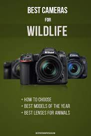 Pin On Best Photography Posts