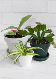 Indoor plant pots give services for this. 27 Of My Gorgeous Diy Indoor Planters And Plant Stands
