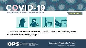Throughout history, nothing has killed more human beings than the viruses, bacteria and parasites that cause disease. Covid19 Infografia Actualizada Marzo 2020 Youtube