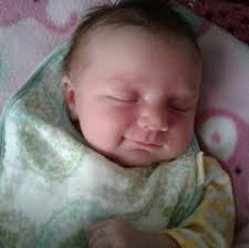 I don't know what kind of flower this is, but every time I pass my  neighbor's house, it's always in bloom.