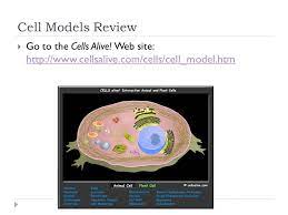 United healthcare dental claim form. Cell Theory Cellular Organelles Biology A Student Learning Goals Students Will Explain How Cells Are The Basic Unit Of Structure And Life For Ppt Download