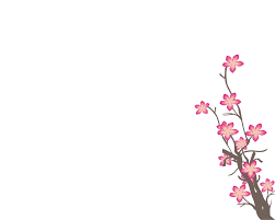 Roses powerpoint template ppt template powerpoint dengan hiasan bingkai. Unduh 96 Background Power Point Bunga Sakura Paling Keren Download Background