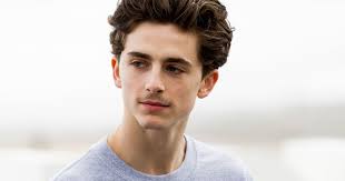 Timothée hal chalamet (born december 27, 1995) is an american actor. Timothee Chalamet Is The Perfect Movie Star For 2018