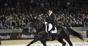 Edward gal (rheden, 4 maart 1970) is een nederlands dressuurruiter.hij nam tweemaal deel aan de olympische spelen en won hierbij één medaille. Horse Of A Lifetime Totilas