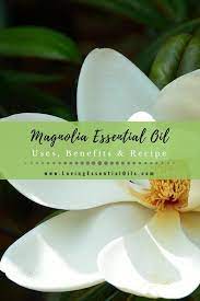 Magnolia Essential Oil Uses Benefits Recipes Eo Spotlight Vetiver Essential Oil Essential Oil Uses Essential Oils Work