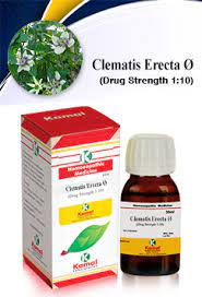    clematis erecta 200c. Clematis Erecta O Mother Tinctures Kamal Laboratories Best Homeopathic Medicines Manufacturing Company