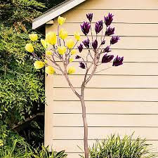 It's so loud that it may come as a surprise to find this inconspicuous warbler strutting like a tiny chicken across the dim forest floor. Magnolia Double Grafted Black Beauty Yellow Bird Standard Bare Root Kaleidoscope