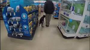 Hours may change under current circumstances Board Train Programs Denver Dog Trainer Complete Canine Training