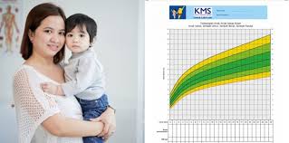 Kartu menuju sehat anak sekolah. Kartu Menuju Sehat Kms Informasi Dan Cara Membacanya