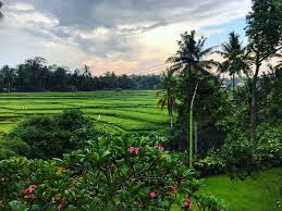 Un magazine qui vous permet de voir le monde. Les 10 Plus Beaux Pays Du Monde Escale De Nuit