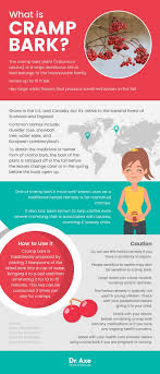 Pin On Natural Remedies