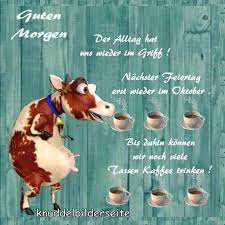 Lustige bilder von mädchen ohne inschriften. Knuddel Bilder Zitate Zu Guten Morgen Guten Morgen Lustig Guten Morgen