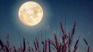 Pages inscription esap les deux zodiaques: Jardinez Avec La Lune Le Calendrier 2021