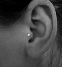 What Type Of Ear Piercing Should You Get Based On Your Zodiac Ear Piercings Tragus Piercings Types Of Ear Piercings