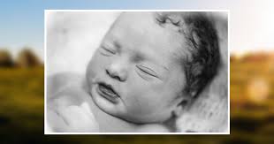 Willow Ferrel Obituary December 21, 2016