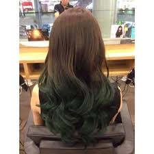 Brown To Green Ombre Google Search Green Hair Ombre Green Hair Teal Hair