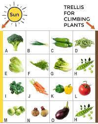 We did not find results for: How To Grow Your First Vegetable Garden Right Now Empress Of Dirt