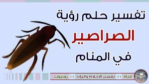 تفسير حلم رؤية الصراصير في المنام لابن سيرين Cockroaches Youtube
