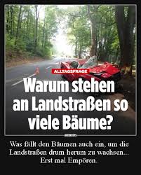 Alliance 90/the greens, the german green party. 14 Lustige Bilder Gruene Gruene Lustig Debeste