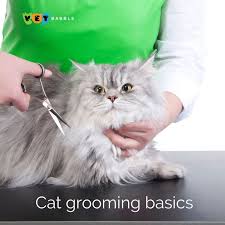 If this is your first time ever sedating your pet, check the video below to see how you can sedate a cat before grooming. Cat Grooming Tips A Diy Guide For Home Vetbabble In 2020 Cat Grooming Cat Grooming Styles Cats
