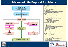 Racgp Resuscitation Update For General Practitioners Supportive Basic Life Support Airway Management