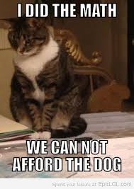 Image Result For Funny Animal Tax Stuff Cats Taxes Humor Crazy Cats