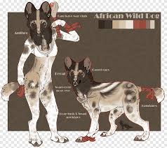 Maybe you would like to learn more about one of these? Dog Breed African Wild Dog Dhole Feral Animal Dog Animals Carnivoran Png Pngegg