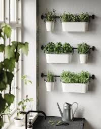 Une Cuisine De Cottage Cosy En Ville Cuisine De Cottage Plantes De Cuisine Cuisine Cottage