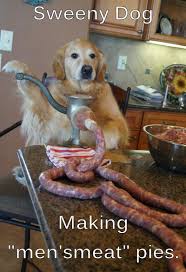 On july 6th, 2017, an article titled can my cat eat salami? was published on the website meatmenstore.1 on february 28th, 2019, redditor on april 30th, 2019, redditor heftydmv posted a tumblr interaction in which a cat is shown typing the question can cats have a little salami? to. I Can Has Cheezburger Sausage Funny Animals Online Cheezburger