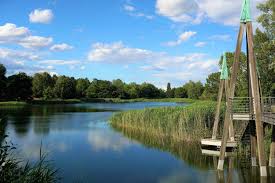 We did not find results for: Britzer Garten Berlin Ausflugziel Ins Grune Tipps