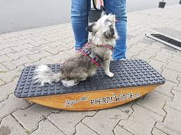 Grundieren sie das holz sorgfältig mit einem qualitativ hochwertigen holzschutzmittel nach anleitung, um es wetterfest und haltbar zu machen. Steigerwald S Pferde Und Hundewippe Im Test Easy Dogs
