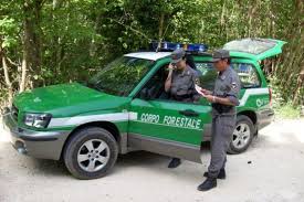 Domanda, requisiti e modalità di invio della richiesta di partecipazione al concorso per gli aspiranti marescialli. Concorso Carabinieri Uscito Il Bando 2019 Per Entrare Nel Ruolo Forestale Antonio De Poli