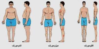 Somatotypes ماهية نمط الجسم النمط في اللغة هو )الطريقة( ويقال ألزم هذا النم