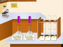 Dialysis virtual lab, biology, worksheet. 89 Biology Ideas Biology Teaching Science Teaching Biology