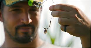 In Hawking Seafood, Ben Sargent Reeled In a Show