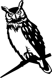 Installation Instructions Terms Conditions Gift Voucher Terms Conditions Great Horned Owl Horned Owl Metal Birds