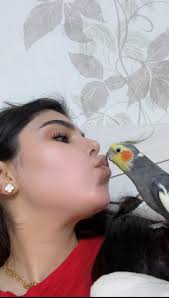 Hi im in south yorkshire since I've moved into my bungalow I've become very  interested in our feathered friends we have quite a few visitors