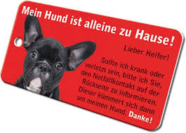 Maybe you would like to learn more about one of these? Notfallkarten Hunde Als Schlusselanhanger Rettet Leben Cardwork De