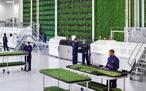 Hydroponics growers in the twenty first century have several more options than hydroponics growers had a generation ago. Igrow Indoor Vertical Farming News Igrow