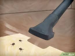 Some common garden plants might help keep bugs away. 4 Ways To Get Rid Of Stink Bugs Naturally Wikihow