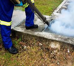 Cosmos deliver the best pest control, fumigation, beg bugs treatment services in dubai, sharjah & abu dhabi at a very affordable cost.call all pesticides and allied products used by cosmos pest control services l.l.c are approved by the ministry of environment and water and pest. Aman
