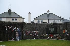 Some of the smallest home additions involve adding a new closet or pantry to an existing floor plan. Ireland S Mother And Baby Homes Victims Seek Criminal Investigation Daily Mail Online