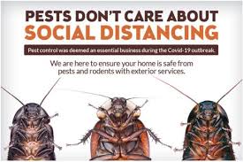 General pest solutions,llc is proud to be your knowledgeable, reliable and reputable source for termite control summerville and termite control charleston sc exterminator services. Advanced Termite Pest Control 1524 Ashley River Rd Charleston Sc Pest Control Mapquest