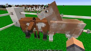 In addition to new mobs, the mod contains a large number of new items for your pets, thanks to which they will feel your love and care. Minecraft Mod Review Realistic Horse Genetics Mod Youtube