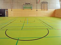 Devices Grassroots Sport Gym Handball Goal Multi Purpose Hall Sports Hall Sprung Floor Tags In 2020 Gym Wallpaper Animals And Pets Handball