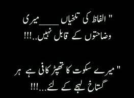 Bilkul Poetry Words Taunting Quotes Urdu Love Words