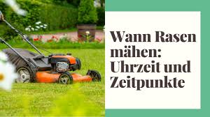 Auf plantopedia erfahren sie alle hinweise und fakten, zum mähen von frisch gesätem rasen. Wann Darf Man Rasen Mahen Uhrzeit Und Zeitpunkte Mittagsruhe Sonntags Etc Youtube