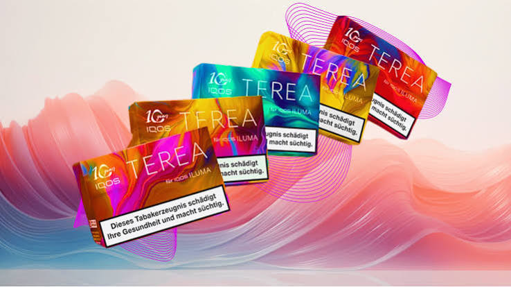 Cool and Delicious: Minty Terea Flavours for Refreshing Sessions