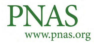 Conceptual-based design of an ultrabroadband microwave ...